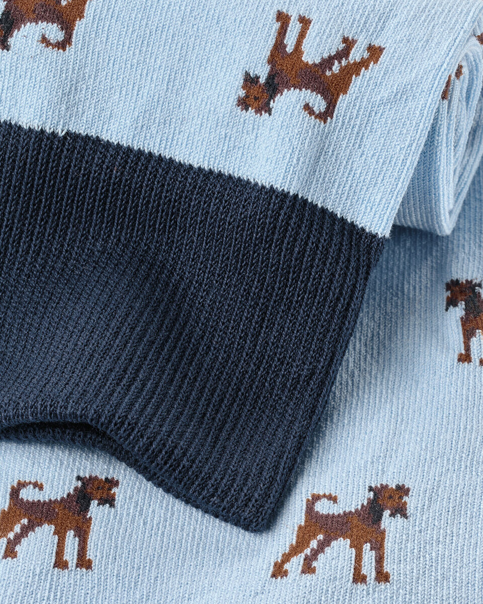 Dog Novelty Socks - Sky Blue Secondary image