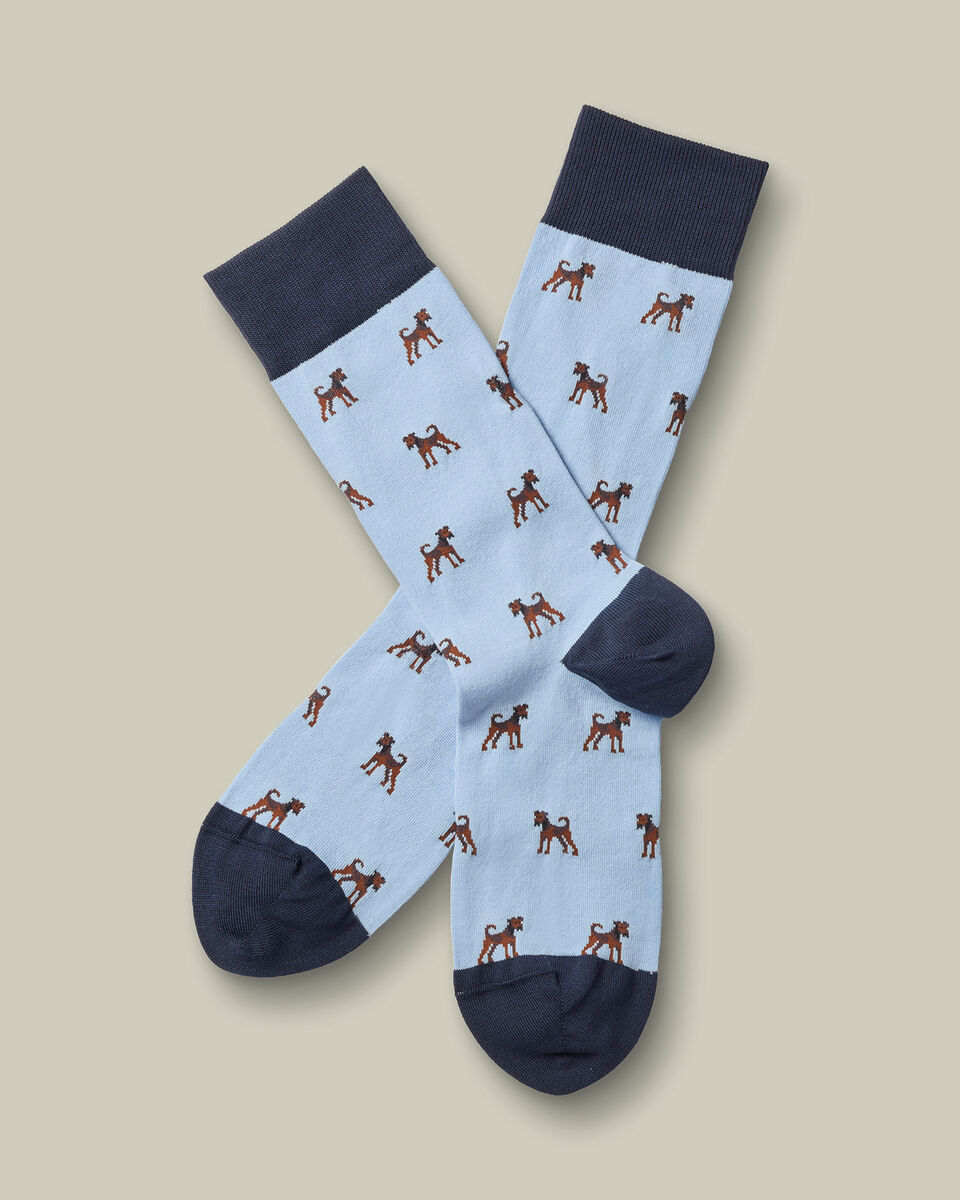 Dog Novelty Socks - Sky Blue Main image