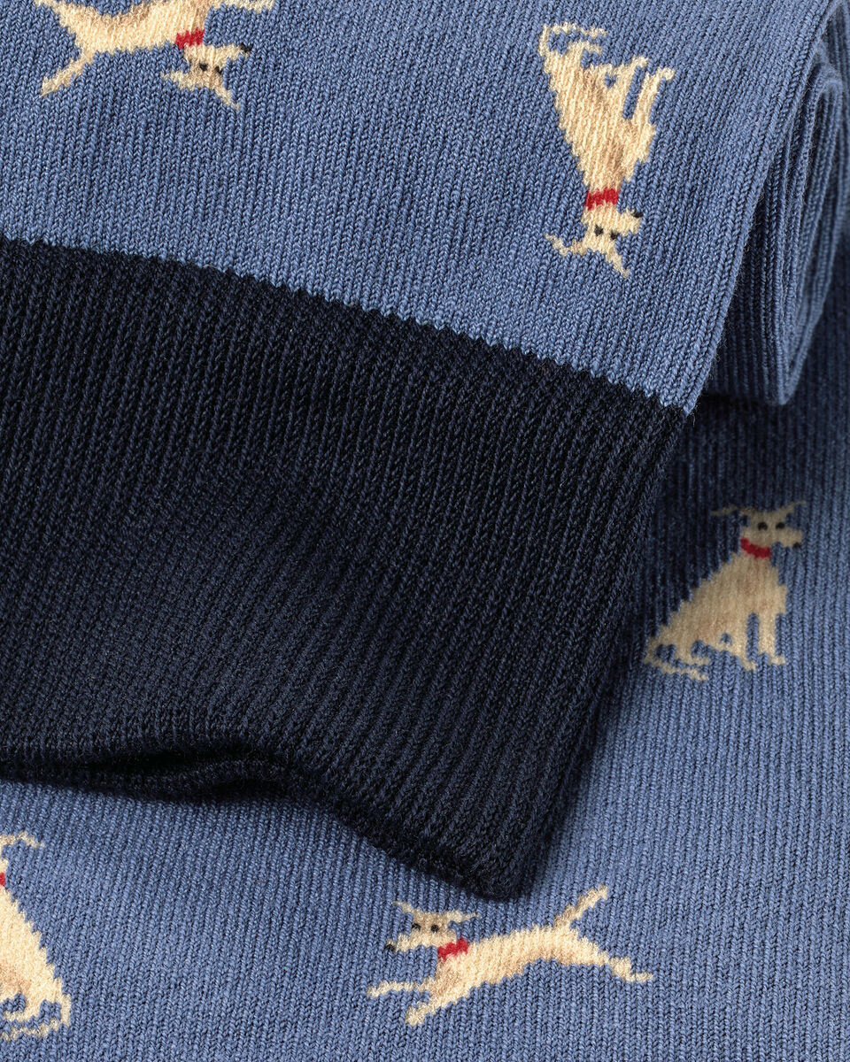 Dog Novelty Socks - Steel Blue Secondary image