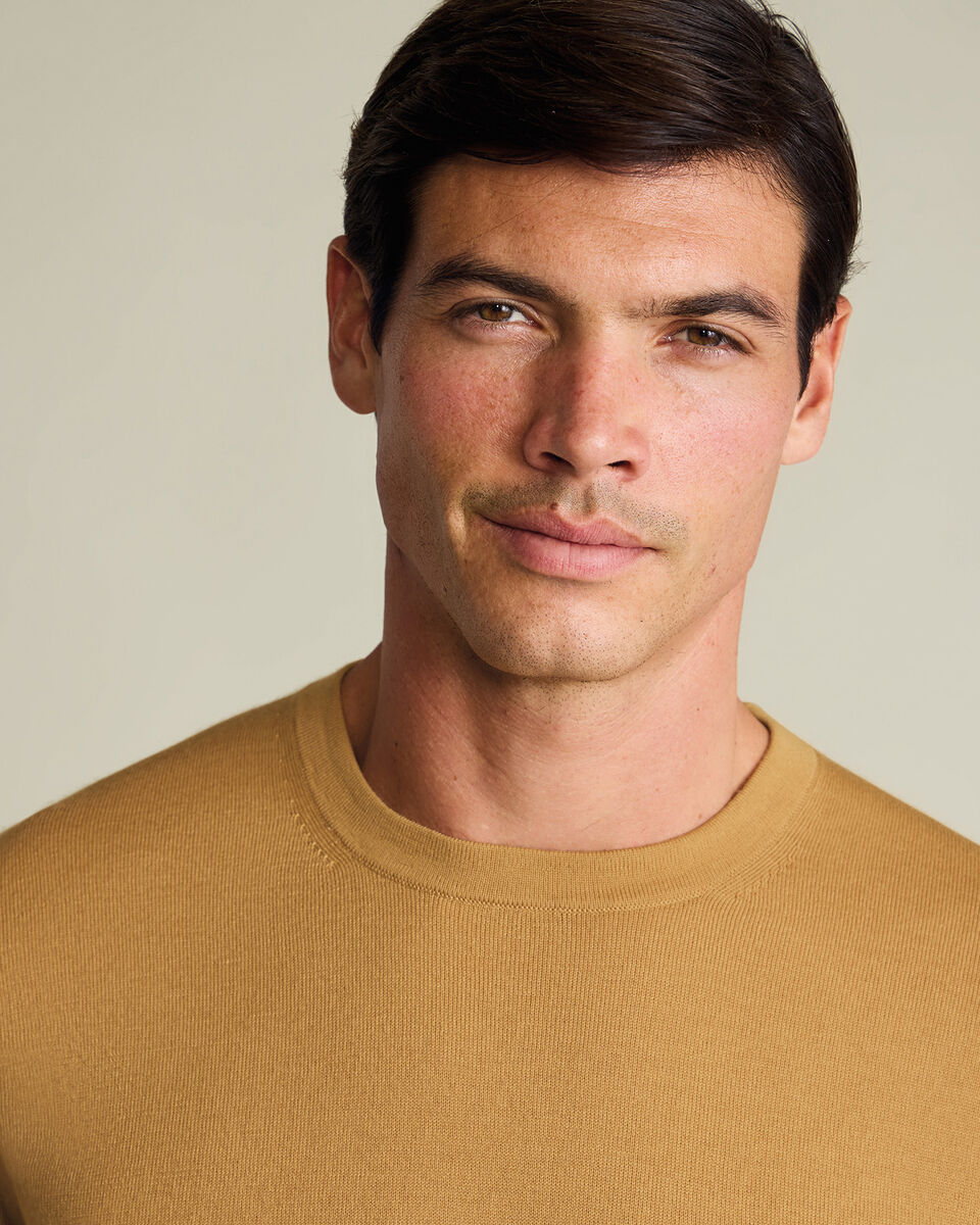 Pure Merino Crew Neck Sweater - Camel