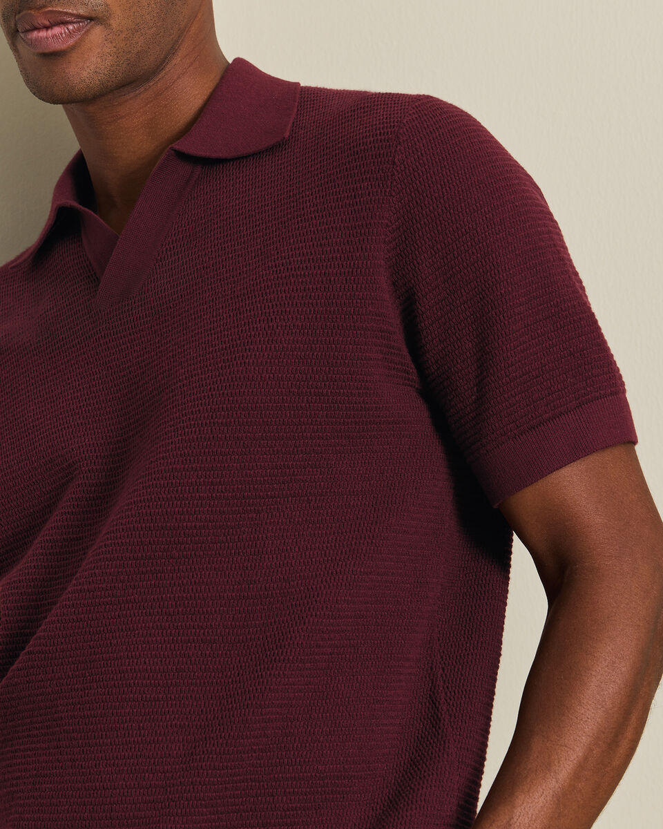 Cotton Textured Trophy Neck Knitted Polo - Burgundy