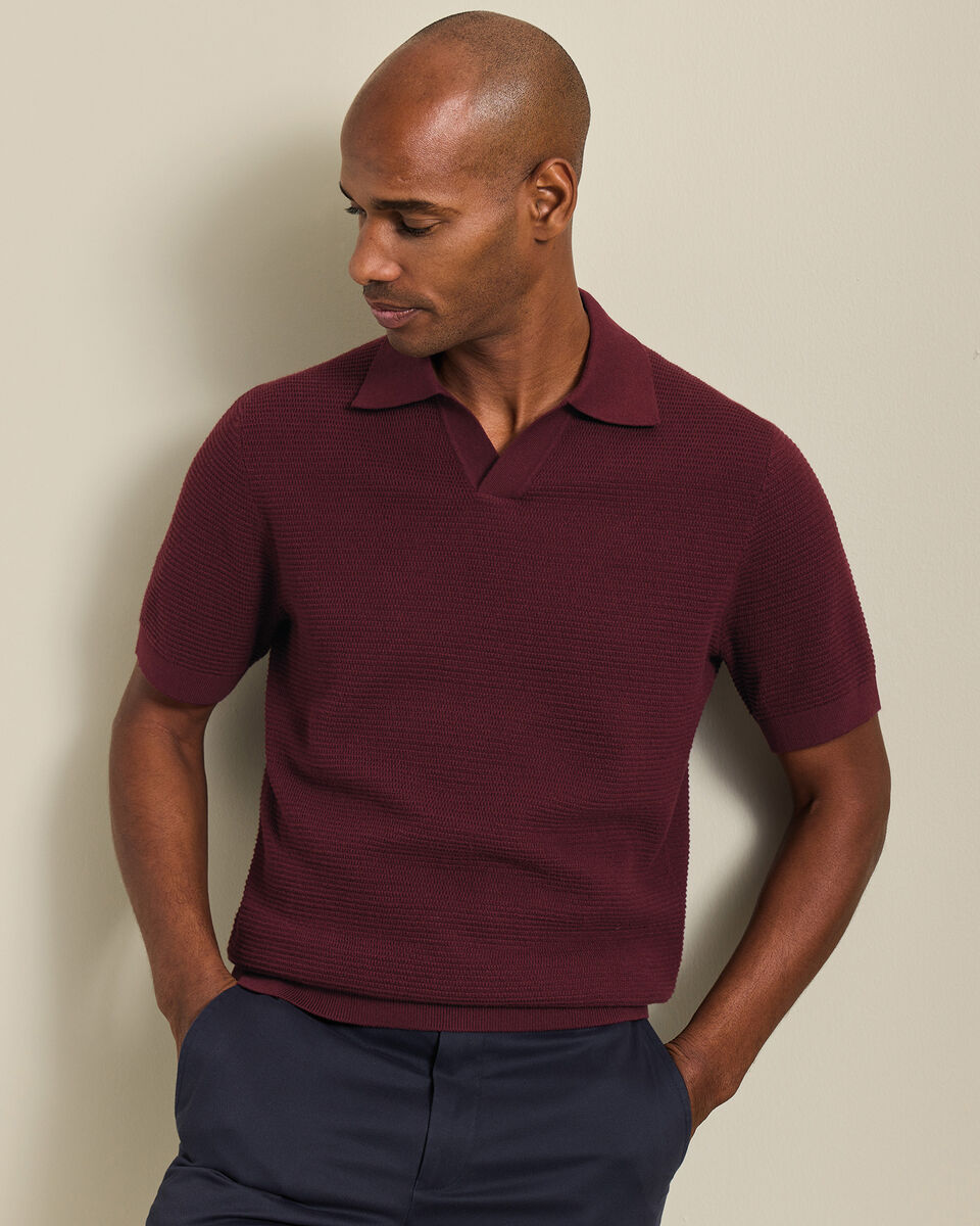 Cotton Textured Trophy Neck Knitted Polo - Burgundy Main image