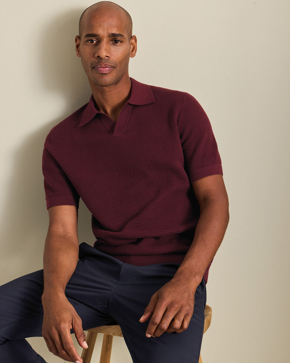 Cotton Textured Trophy Neck Knitted Polo - Burgundy