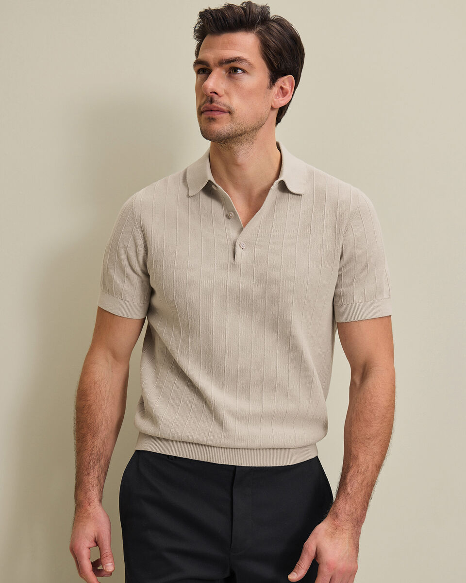 Cotton Stripe Knitted Polo - Limestone Main image