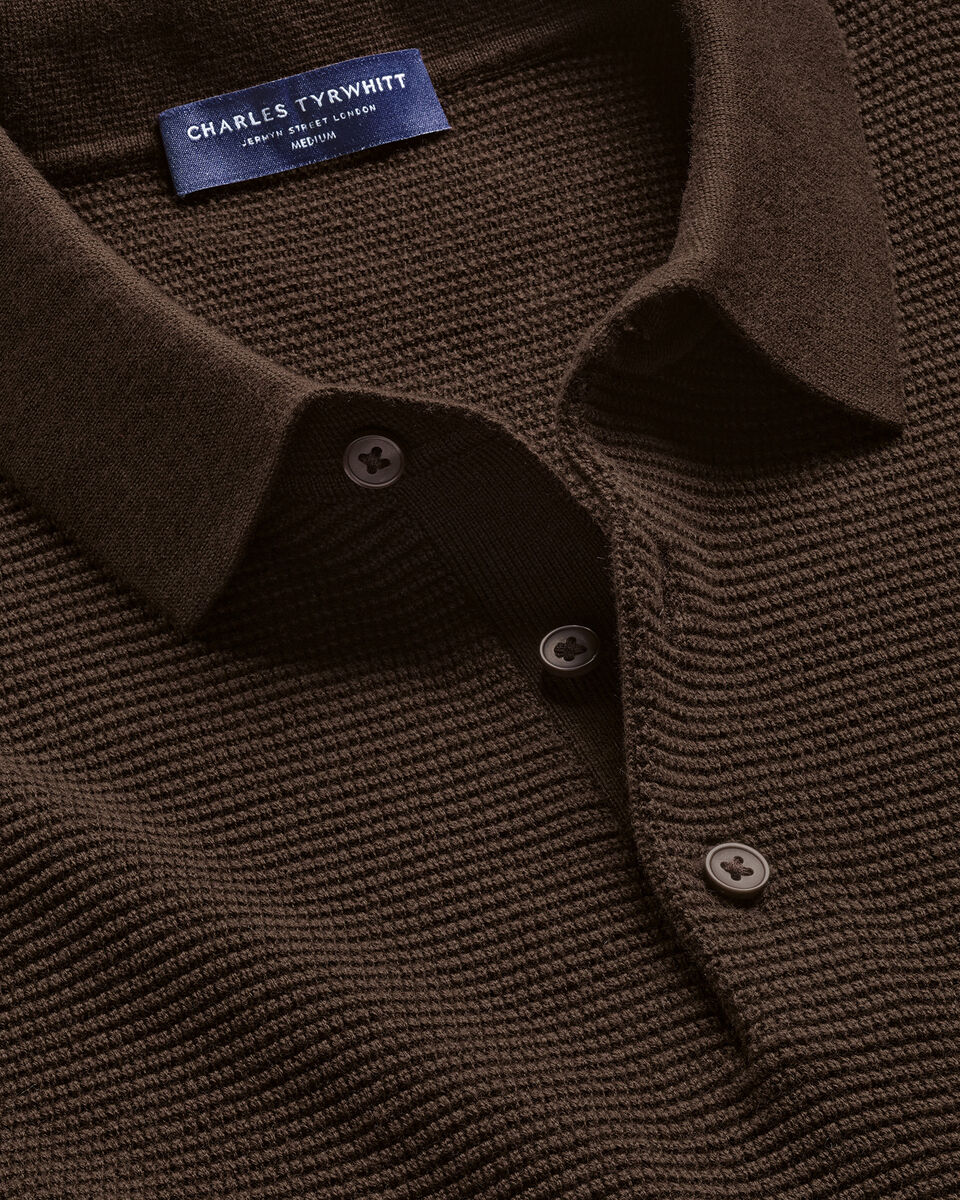Long Sleeve Cotton Textured Knitted Polo - Chocolate Brown Secondary image