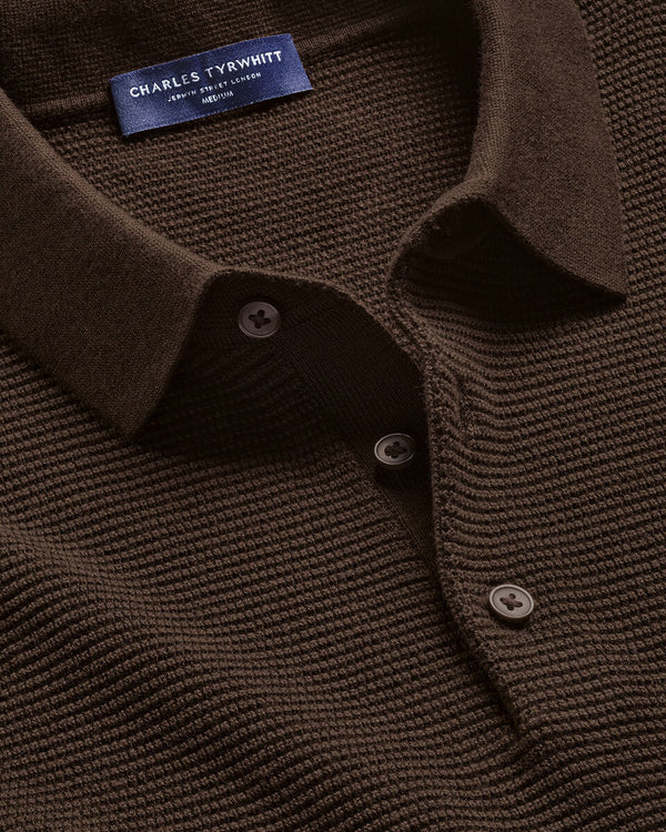 Long Sleeve Cotton Textured Knitted Polo - Chocolate Brown